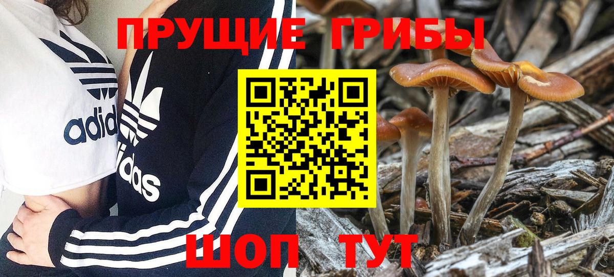 Галлюциногенные грибы мухоморы  Галлюциногенные грибы Magic Shrooms  Вход с VPN  Ульяновск 