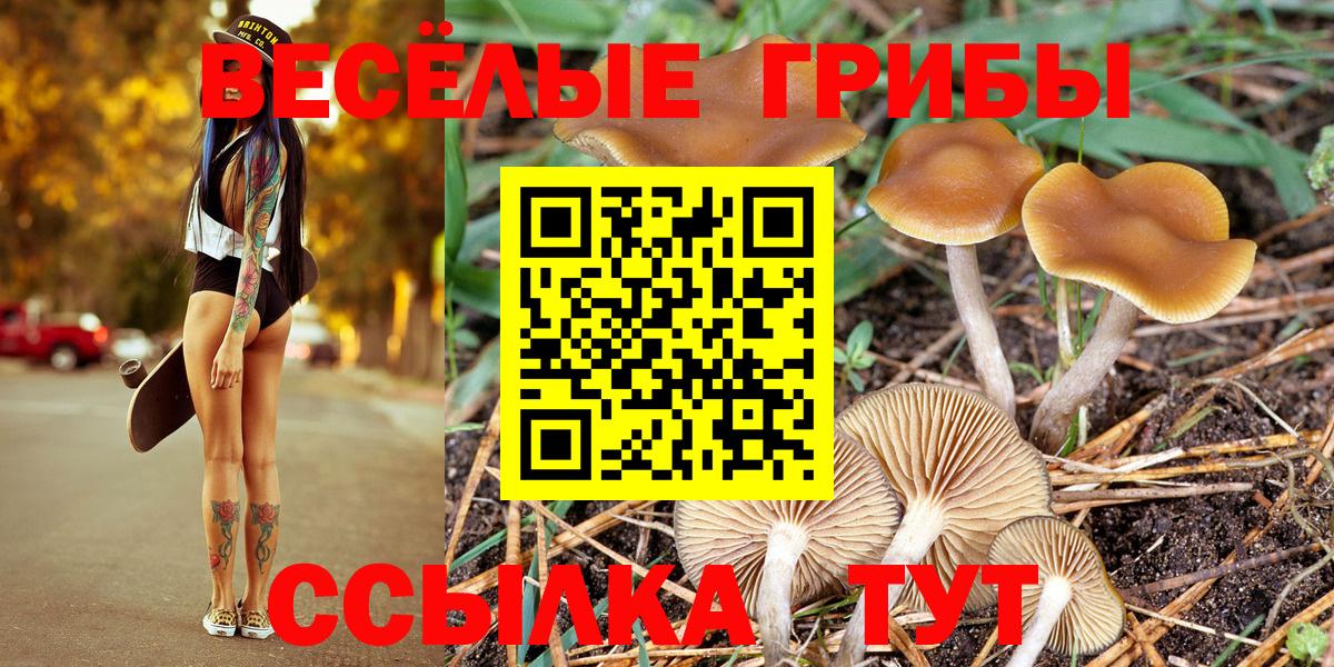 Псилоцибиновые грибы мицелий Ульяновск