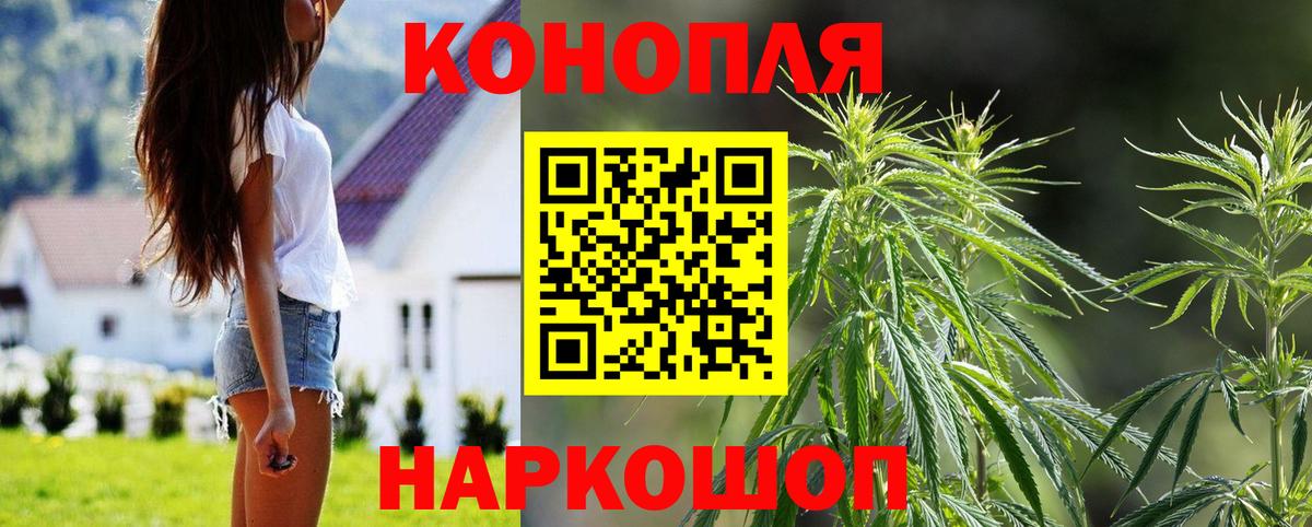 Ульяновск  Канабис тримм  Вход с VPN  Шишки марихуана тримм 